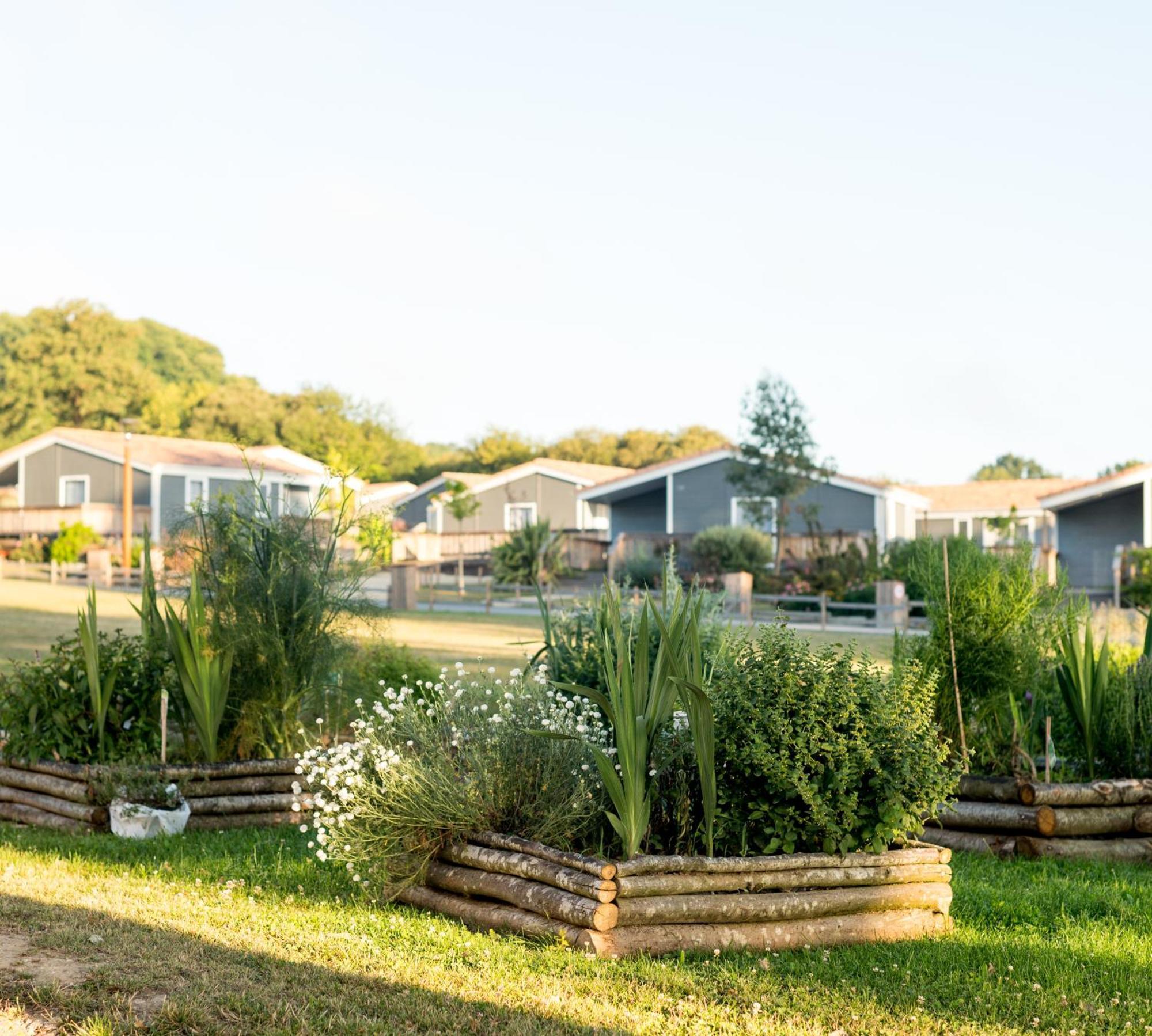 Domaine Melusine - A 2Km Du Puy Dufou France ! Hotel Les Épesses Eksteriør billede